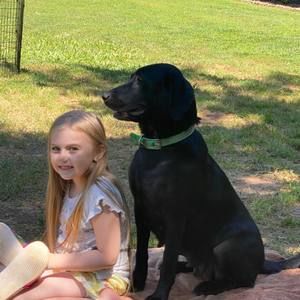 Meet your Posher, Linda d